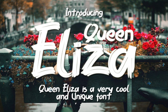 Qeen Eliza: A Trendy Display Font for Modern Campaigns